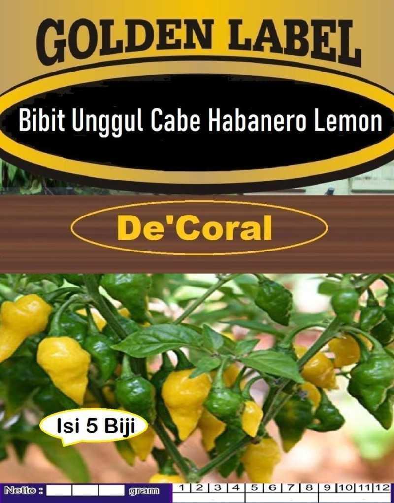 Daftar Habanero Terpercaya: Rekomendasi Pilihan Terbaik