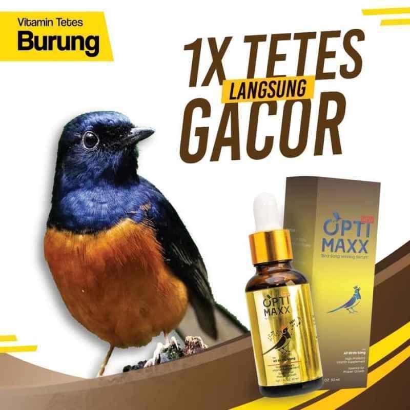 Agen Gacor MANDIRI: Tempat Terbaik untuk Memiliki Burung Berkualitas